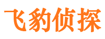 福鼎市调查公司